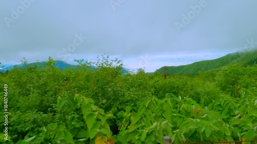 車の窓から見える綺麗な景色