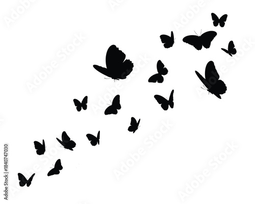 black flock of butterfly design