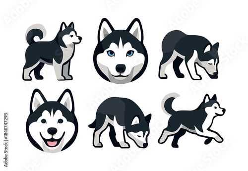 Husky dogs, flat vector illustration, pet graphics and canine design elements