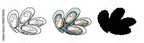 A stylized group of open oysters with pearls inside, shown in three variations: outline, blue, and black. Representing wealth and the sea.