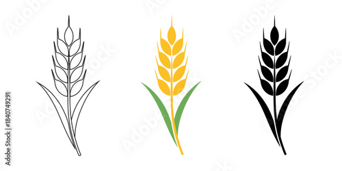 A minimalist illustration of a wheat plant, depicted in three variations: outline, yellow, and black. Symbolizing growth and agriculture.