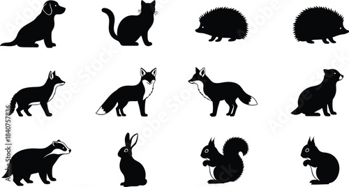 Silhouettes of various forest animals including foxes cats and squirrels