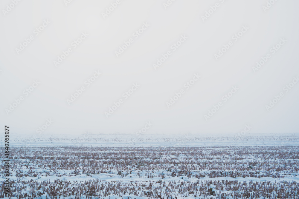 Naklejka premium winter landscape with snow in mist