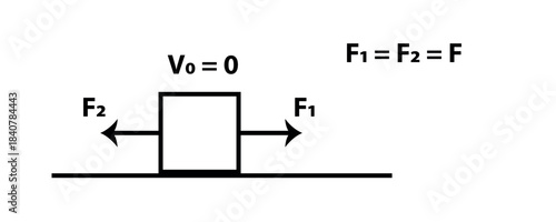 Equilibrium Of A Block With Equal Opposing Forces On A Surface Demonstrating Newton's First Law