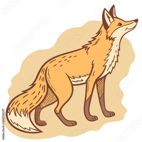 A stylized drawing of a red fox standing, looking up and to the right, set against a light tan, amorphous background shape.