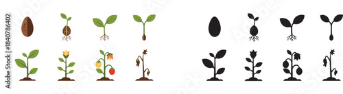 Father and child learning together at desk