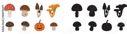 Man cooking healthy food meal preparation sequence