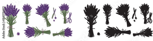 Scientist working in laboratory with equipment