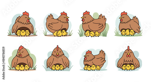 Hen with chicks under wings springtime family