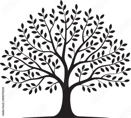Silhouette of a leafy tree with spreading branches