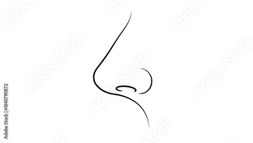 Minimalist line drawing of a human nose