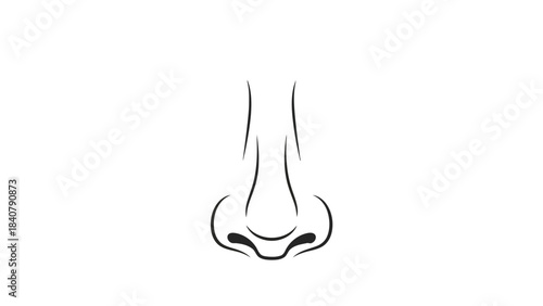 Minimalist line drawing of a human nose