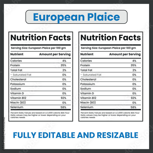 European Plaice Fish Illustration – Flatfish Species Vector