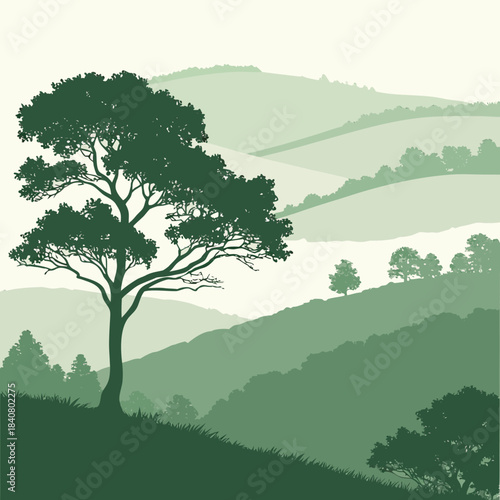 Green tree standing on a hillside with rolling hills in background