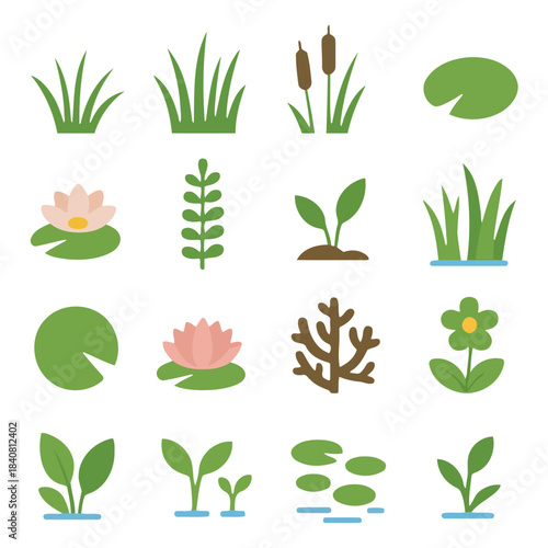 Botanical Collection: A vibrant collection of diverse botanical elements, showcasing a variety of plants in a visually appealing and organized layout.