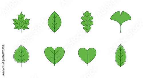 Collection of diverse green leaves vector illustrations representing various tree species and natural foliage, perfect for environmental, botanical, or decorative design projects