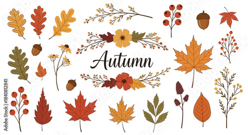 Vibrant collection of autumn leaves, berries, and floral elements, perfect for fall season designs, nature-inspired decorations, and seasonal graphic projects