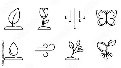 Nature Growth and Life Cycle Line Icons Set Seedling, Blooming Flower, Water Drop, Wind, Butterfly, and Rain Elements