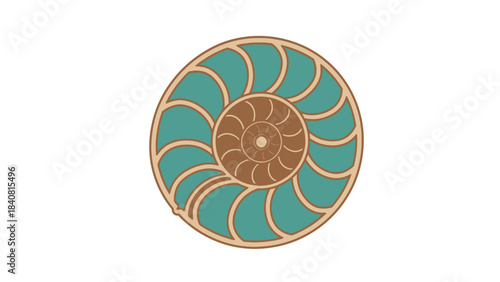 Abstract illustration of a nautilus shell design with teal and brown segments