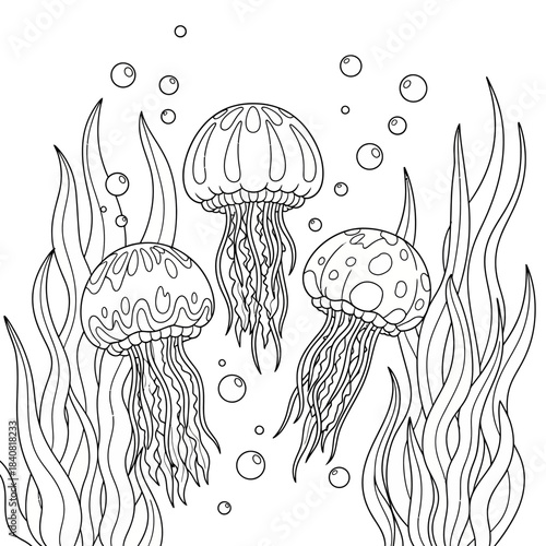 Three detailed jellyfish with unique patterns swimming together.