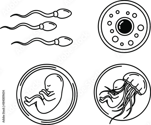 Set of four reproductive biology icons featuring sperm, egg, embryo, and cell structures, representing fertilization,