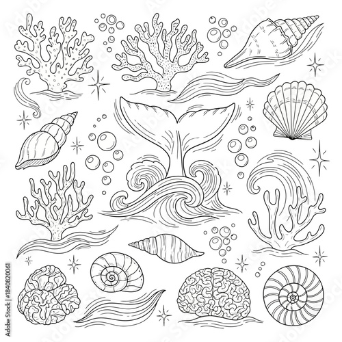 Oceanic illustration featuring various marine elements and creatures in detailed line art.
