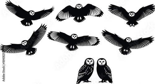 Barn owl illustration set featuring flying and perched owls in detailed black and white style for wildlife, nature and bird design projects