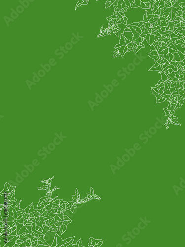 アイビーの線画フレーム②縦_ななめ_白