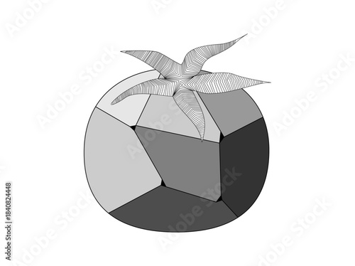 Tomato on grey color with mosaic style