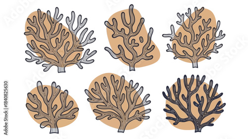 Six hand-drawn illustrations of branching coral structures with abstract background shapes on a white background, depicting marine life.