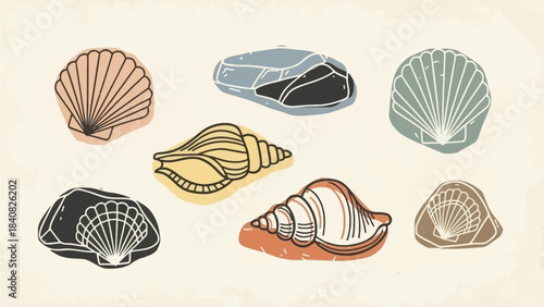 A collection of stylized seashells and smooth rocks in various colors, depicting marine life and beach elements.