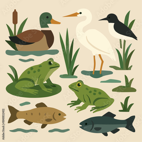 Wetland Fauna Flat Vector Illustration