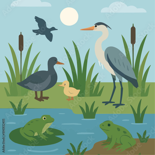 Wetland Habitat Flat Vector Illustration