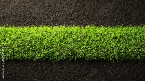 Wallpaper Mural Green Grass Strip Between Dark Soil Patches: Agriculture and Environmental Concept for Planting and Growth Torontodigital.ca