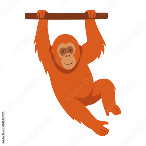 Orangutan Hanging from Branch Playful Pose