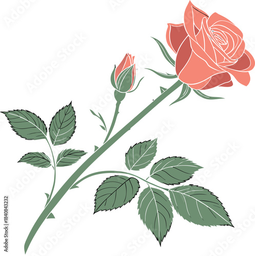 Pink rose vector illustration isolated on a white background with green leaf, single blossom plant, beauty, and romance