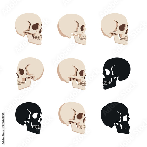 Beige Human Skull Icon