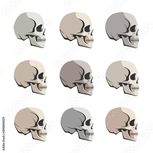 Set of Neutral Human Skull Vector Icons 