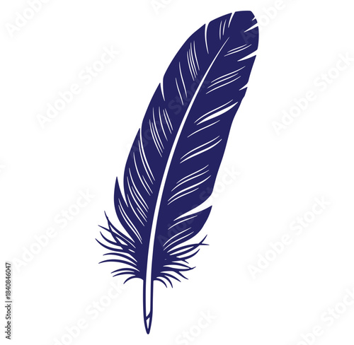 Elegant dark blue feather vector illustration with detailed vector graphics on white background