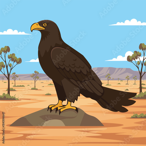 Wedge-Tailed Eagle Standing on Desert Rock Australian Raptor Character Vector Illustration