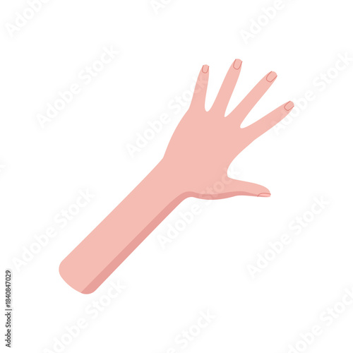 Flat cartoon hand with five fingers and open palm. Human gesture showing the number five in a bare and unclothed style. Pale skin pose, isolated on white background, suitable for math or educational