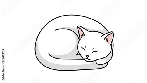 Cute white cat sleeping peacefully in minimalist vector illustration
