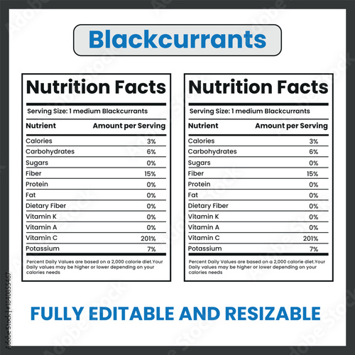 Blackcurrants Illustration – Fresh Dark Berry Fruit Vector