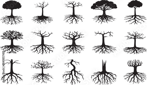 Tree Silhouette Icon Set Featuring Exposed Root Systems, Leafless and Canopy Trees, Botanical Growth Symbols, and Nature Elements in Black Vector Style
