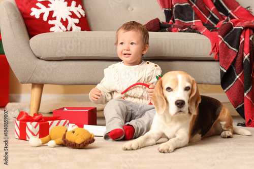 Cute little boy with adorab...