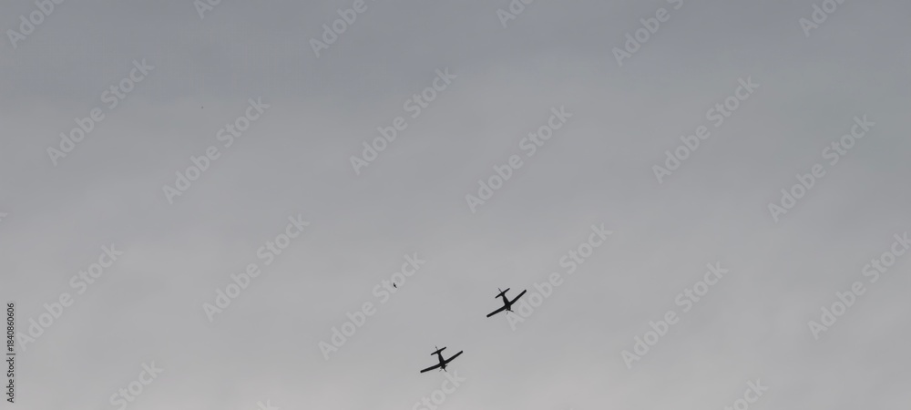 Obraz premium Propeller aircraft flying in close formation under gray sky, with a bird visible between them. Conceptual image contrasting mechanical flight and natural movement, highlighting themes of aviation.