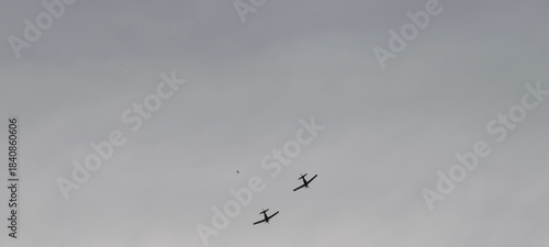 Wallpaper Mural Propeller aircraft flying in close formation under gray sky, with a bird visible between them. Conceptual image contrasting mechanical flight and natural movement, highlighting themes of aviation. Torontodigital.ca