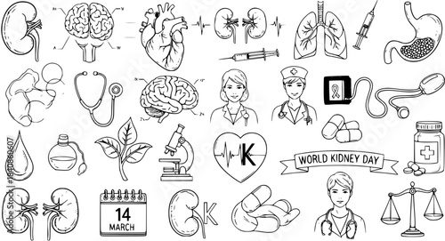 Medical Healthcare Hand-drawn Line Art Doodle Set. Includes Human Anatomy Organs (Kidney, Brain, Heart, Lungs), Medical Professionals, Stethoscope, Pills, and World Kidney Day Symbols