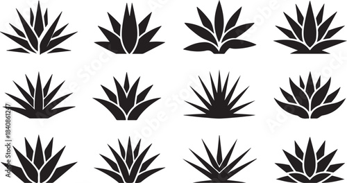 Agave and Aloe Plant Silhouette Icon Set Featuring Desert Succulents, Spiky Leaves, and Botanical Foliage Shapes in Black Vector Style
