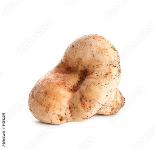 Fresh mushroom isolated on ...
